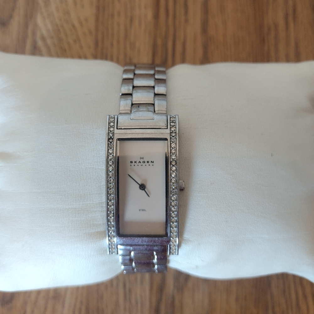 Women's Skagen Glitz  459SSXZP Commerce Root Quartz Watch